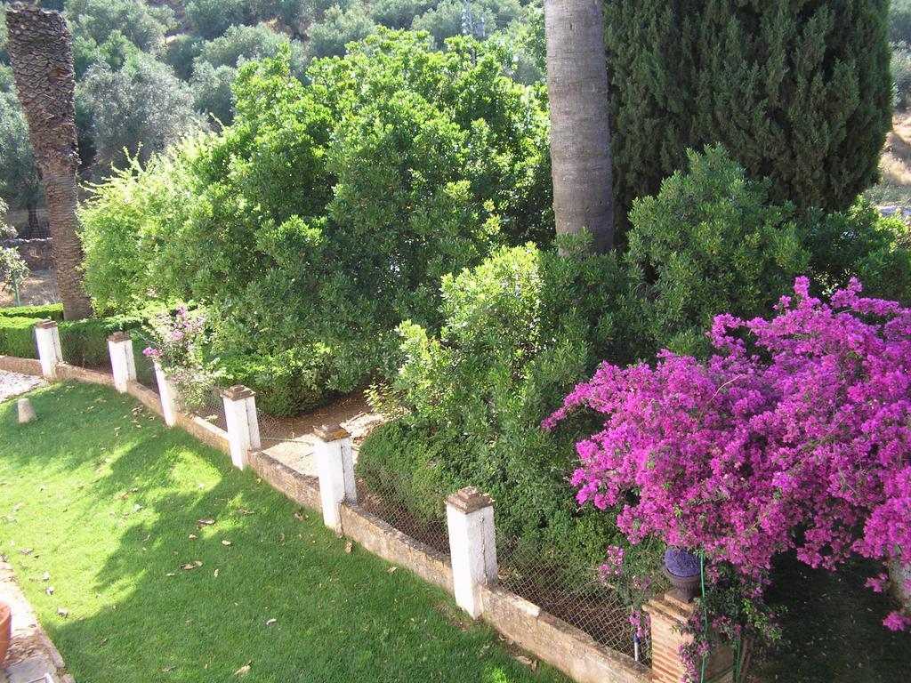 Finca La Favorita- Suites (Adults Only) Constantina Εξωτερικό φωτογραφία