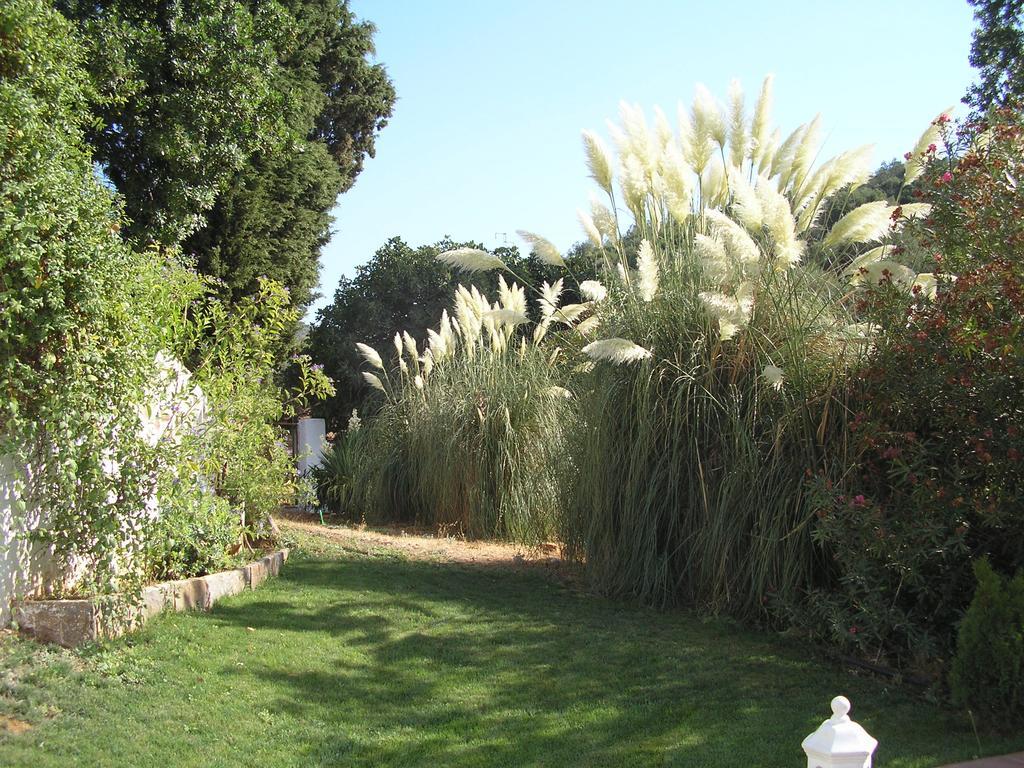 Finca La Favorita- Suites (Adults Only) Constantina Εξωτερικό φωτογραφία