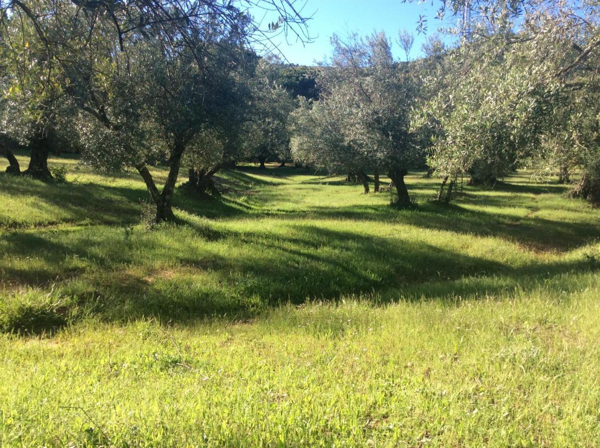 Finca La Favorita- Suites (Adults Only) Constantina Εξωτερικό φωτογραφία